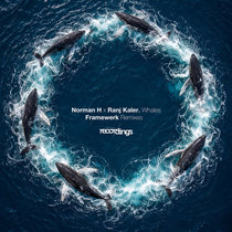 Norman H x Ranj Kaler — Whales: Framewerk Remixes