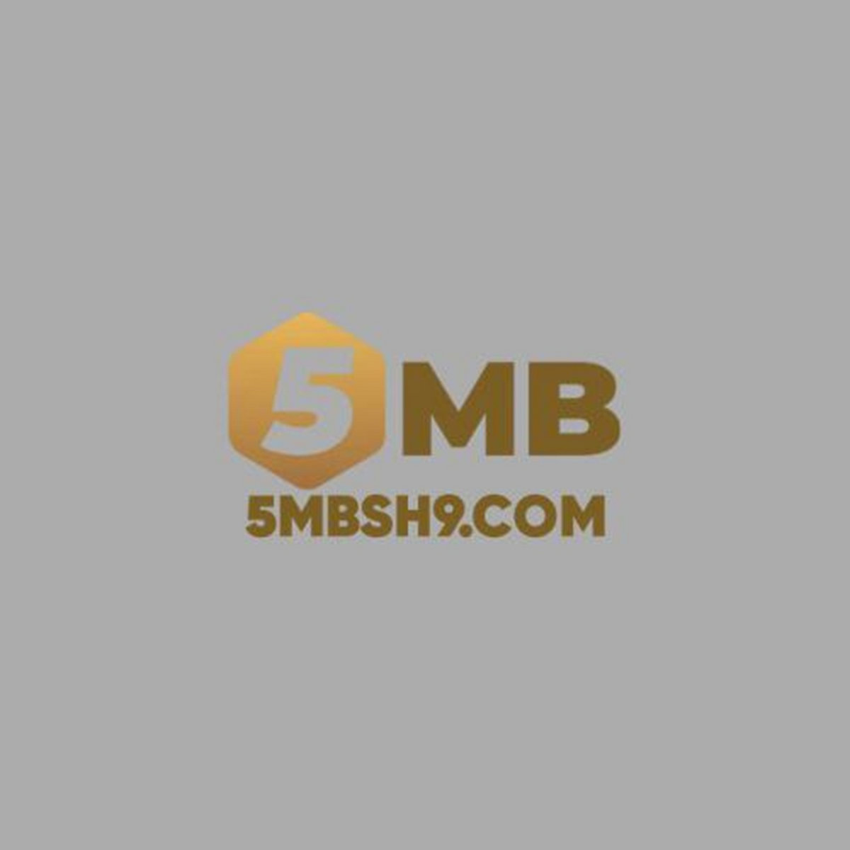 5MB | 5MB