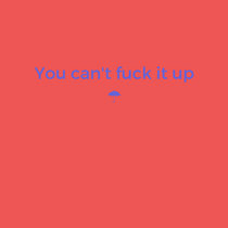 You Can't Fuck it Up cover art