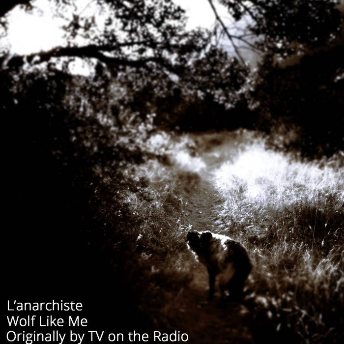 TV ON THE RADIO Wolf Like Me 7インチ レア TV On The Radio – Wolf Like Me – CDr (Promo, Single), 2006