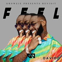 Feel (Revisit) cover art