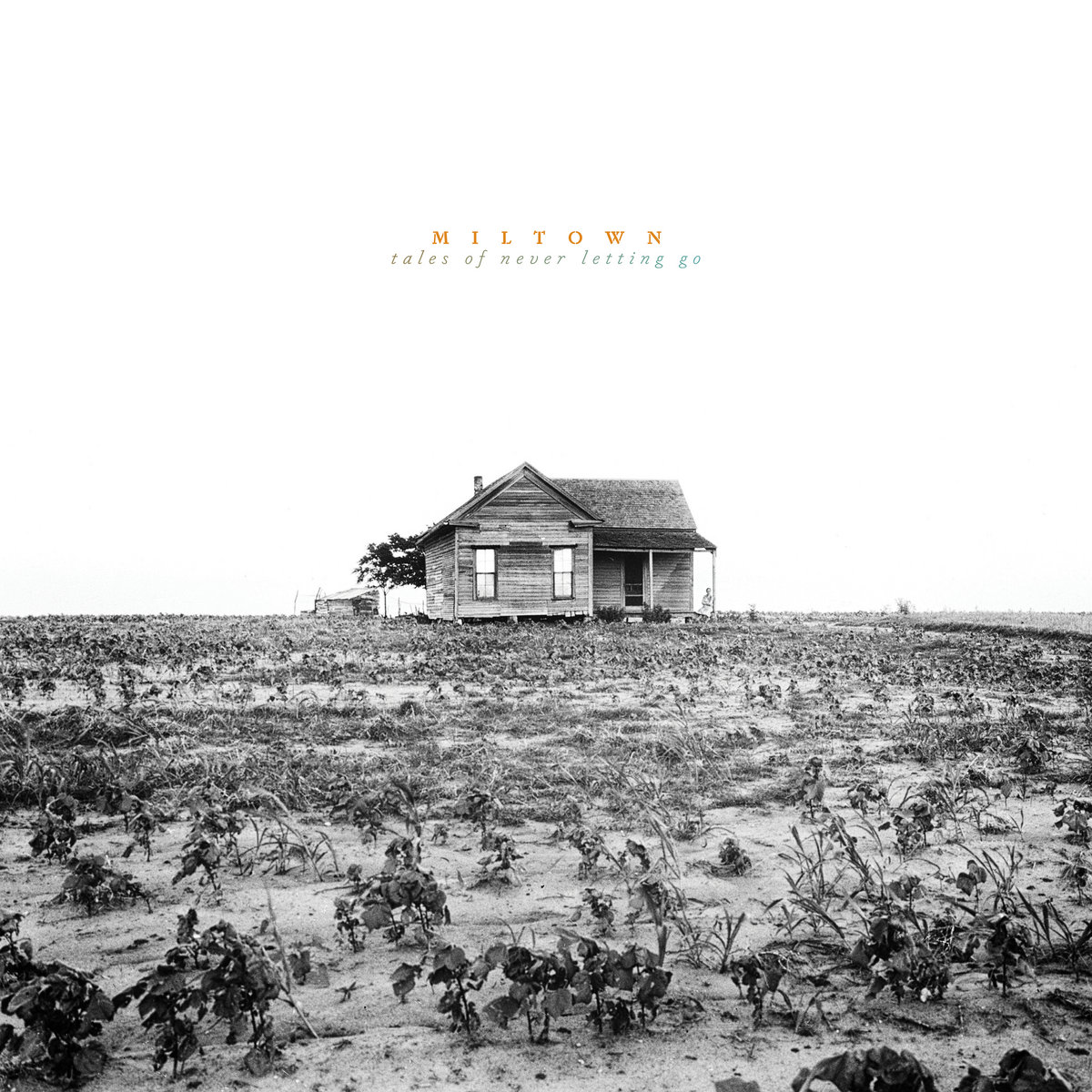 Tales Of Never Letting Go | Miltown | Man Alive Records
