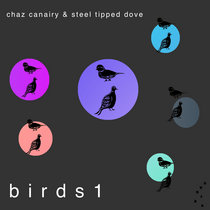 birds 1 cover art