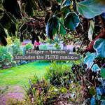 sLEdger - Tweeba + FLUKE Remix