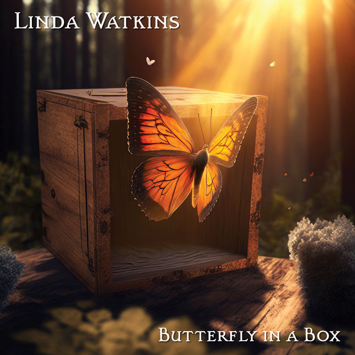 Butterfly in a Box Linda Watkins