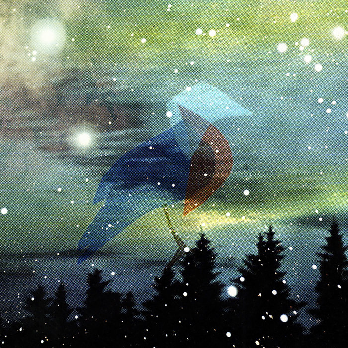 Bluebird J rgen Kjellgren The Slow Music Movement Label bluebird-j-rgen-kjellgren-the-slow-music-movement-label