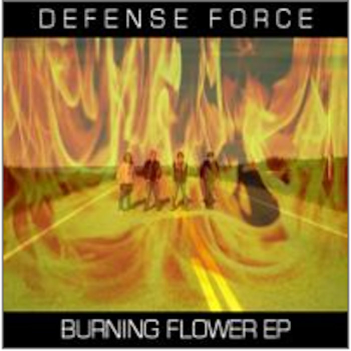 Burning Flower Defense Force Amberian Blood Records