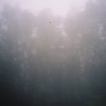 Fragments