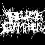 BRUCEXCAMPBELL - BXC