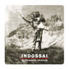 Indossai