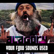 Your flow sounds used cover art