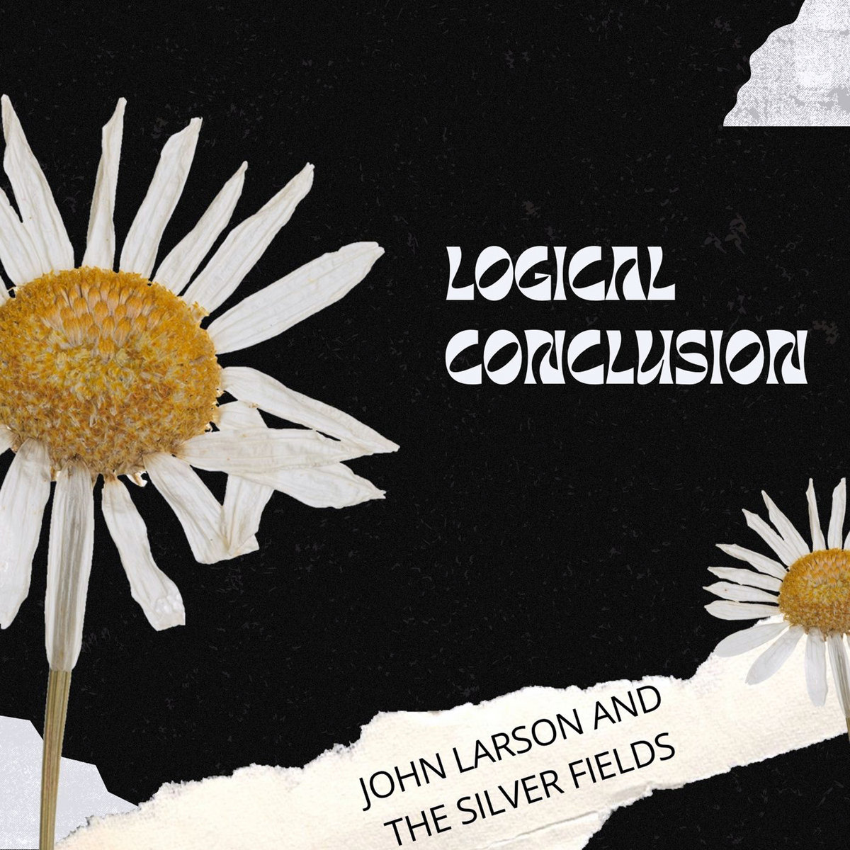Logical Conclusion John Larson and The Silver Fields