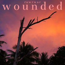 wounded cover art
