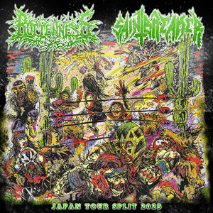 Rottenness / Saintbreaker - Japan Tour Split 2025 [E.P.]Rottenness / Saintbreaker cover