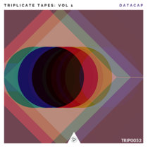 Triplicate Tapes Vol. 1:  Datacap cover art