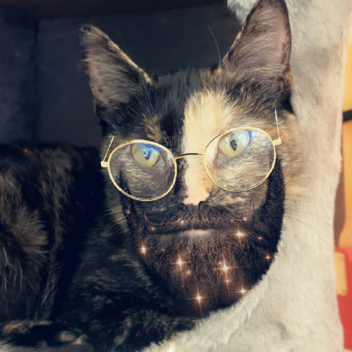 Ester Dubstep Ester The Cat