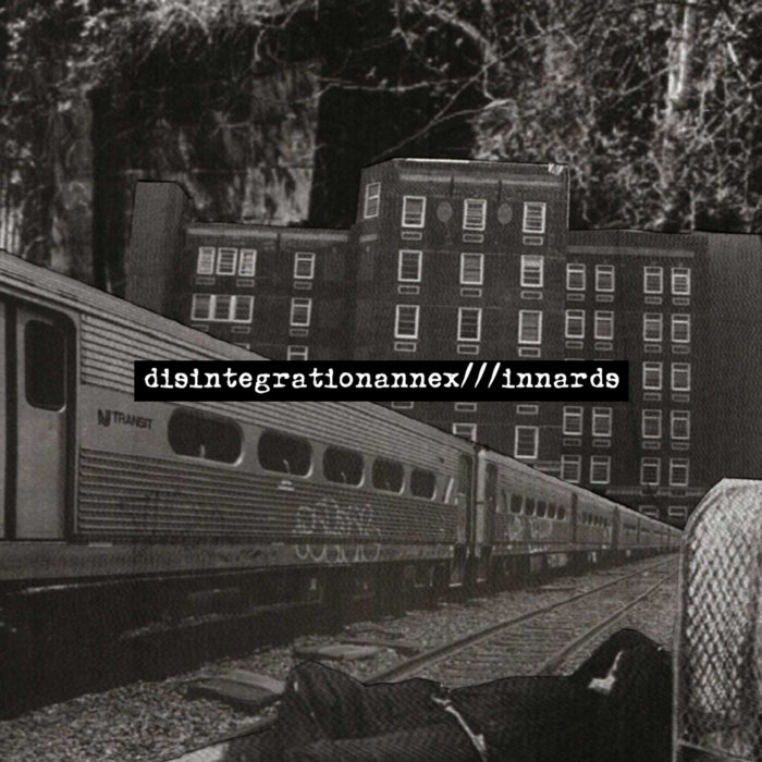 Innards | Disintegration Annex