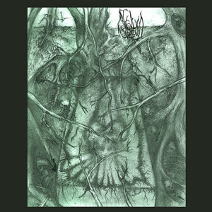 Mycelium Shroud (remastered and expanded) cover
