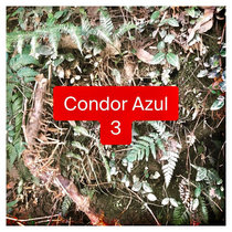 Condor Azul 3 cover art