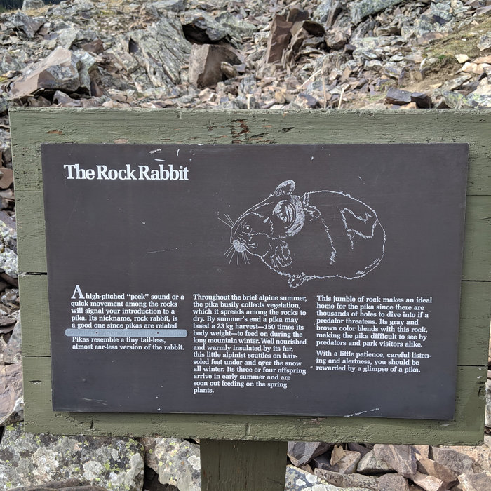 The Whistling Hare dreamloom