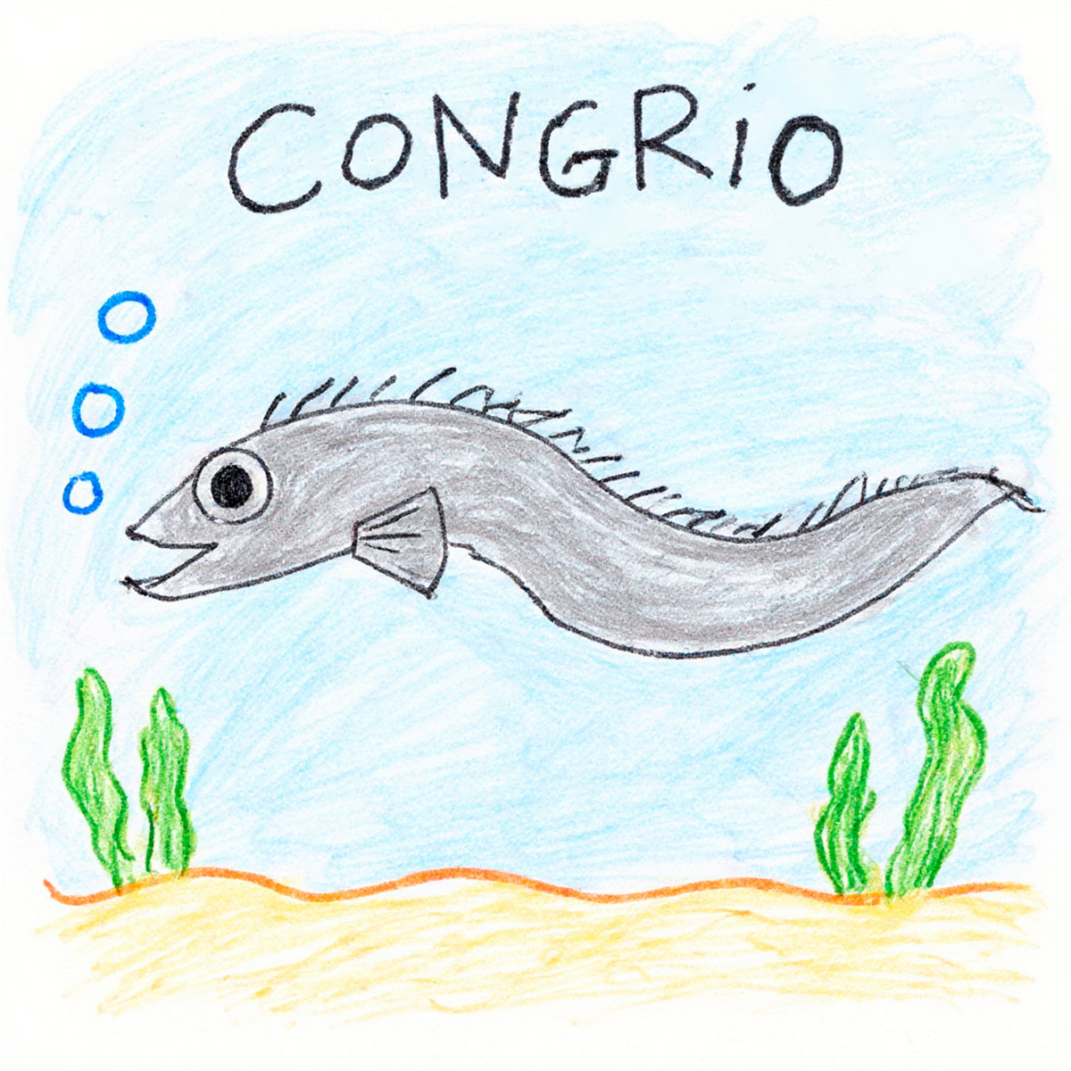 Congrio EP | Congrio