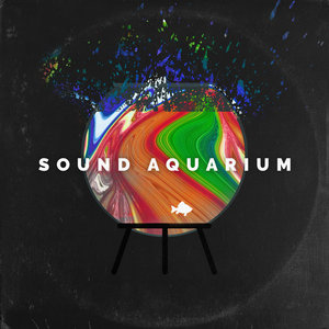 Sound Aquarium (Full Album)Jesse Daniel Band cover