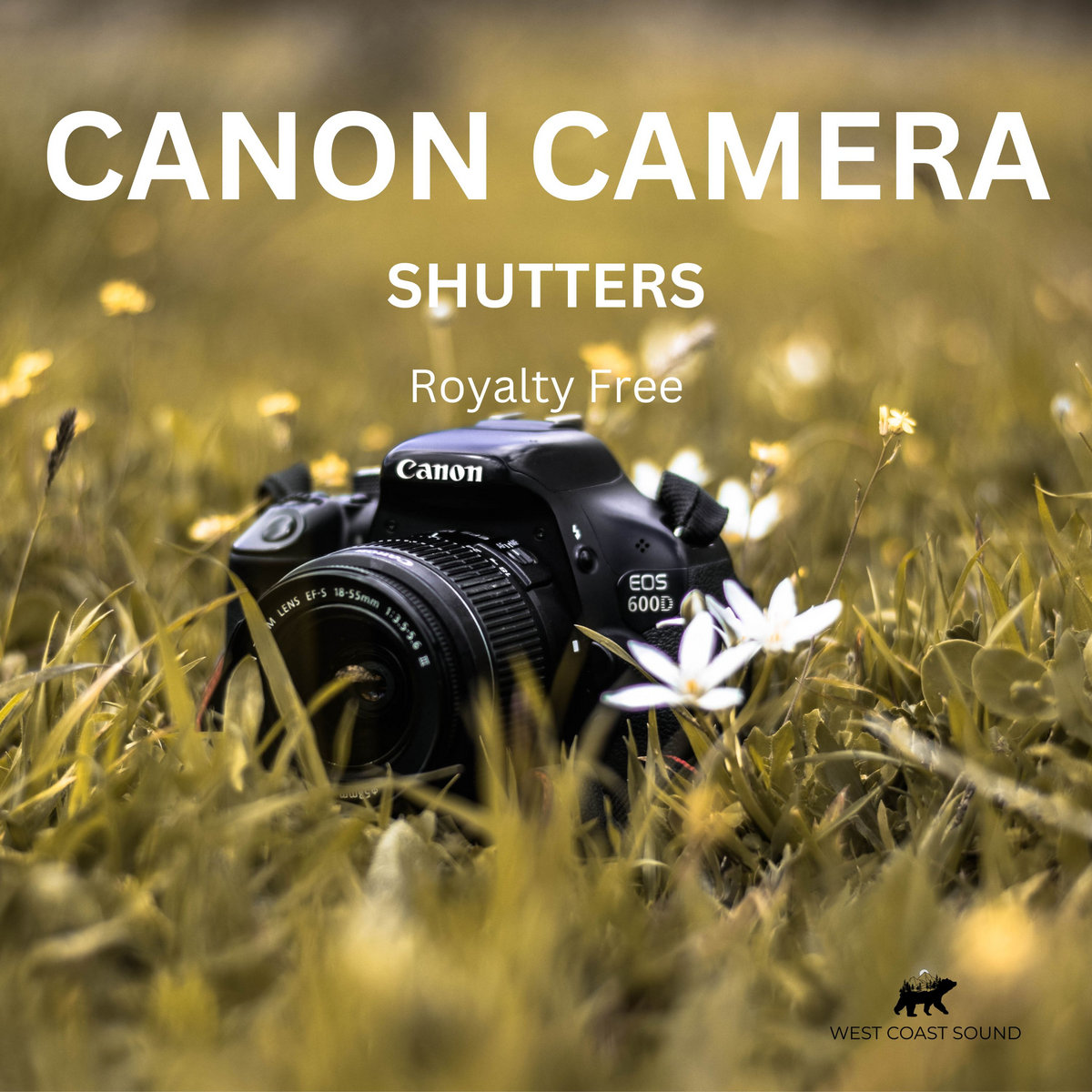 Canon Camera Shutter Sound Effect Free Download CANON camera shutters CL,CH,speed | West Coast Sound