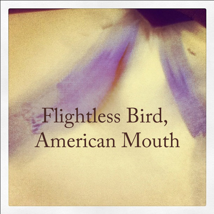 Flightless Bird, American Mouth Iron & Wine Ambrose Reed