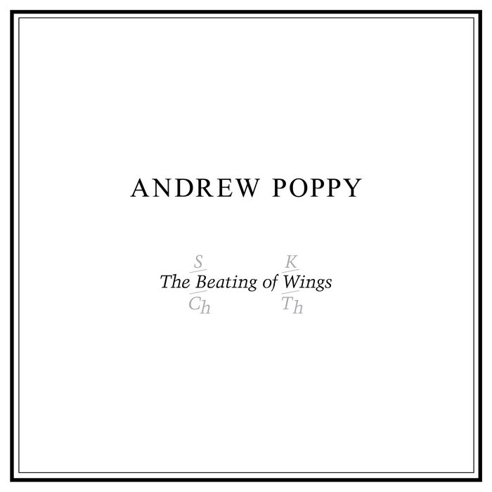 The Beating of Wings: 40th anniversary edition | Andrew Poppy