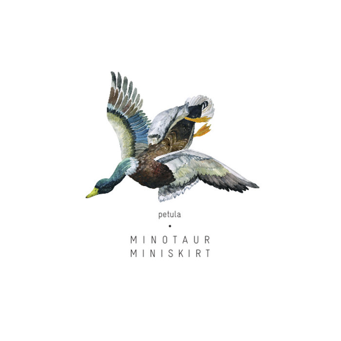mini skirt bandcamp