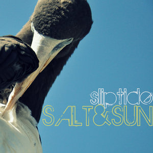 Salt & Sun cover