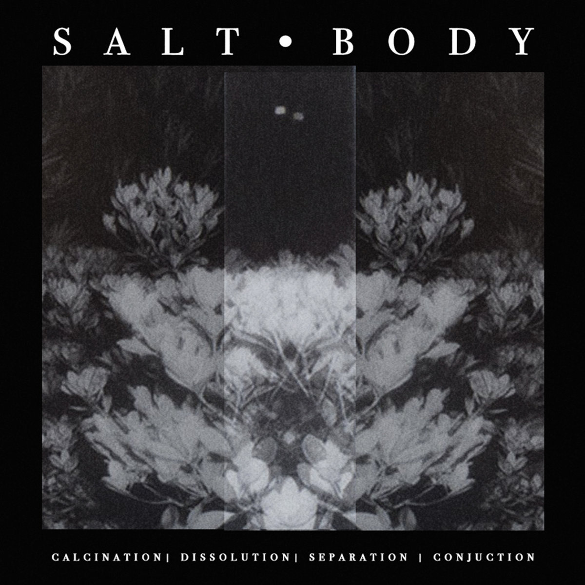 Salt Body cover