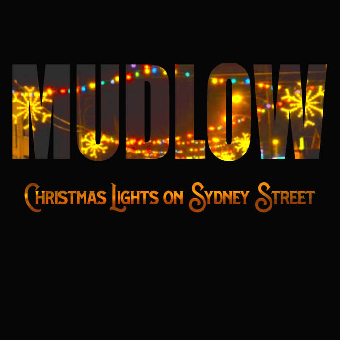 Purchase 2024 christmas lights