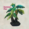 Bonanza Plan Cover Art