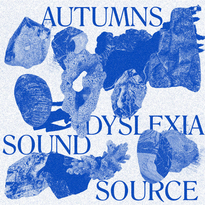 Dyslexia Sound Source | Autumns