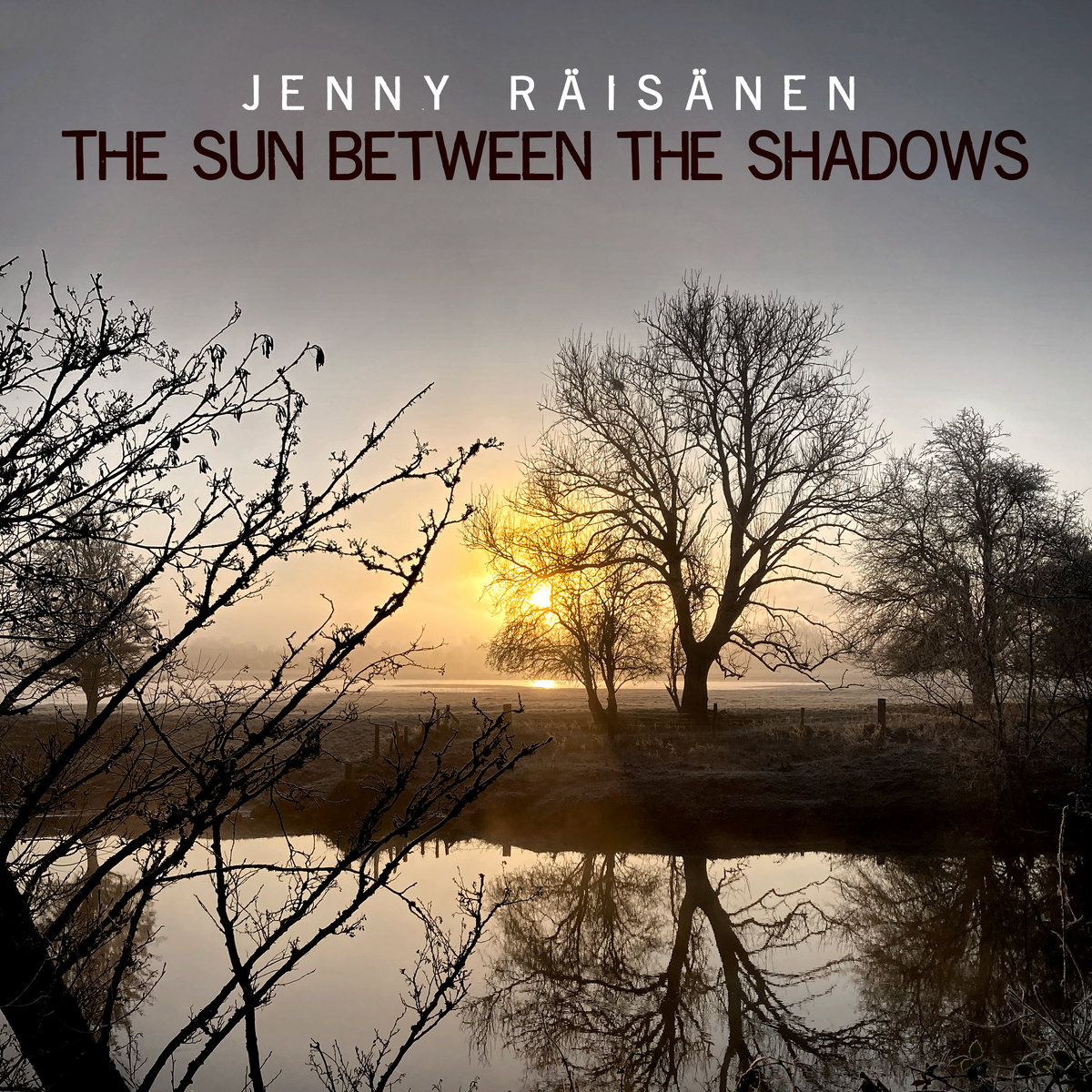 The Sun Between The Shadows cover