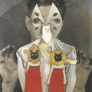 Itchy Kitty — Feargasm
