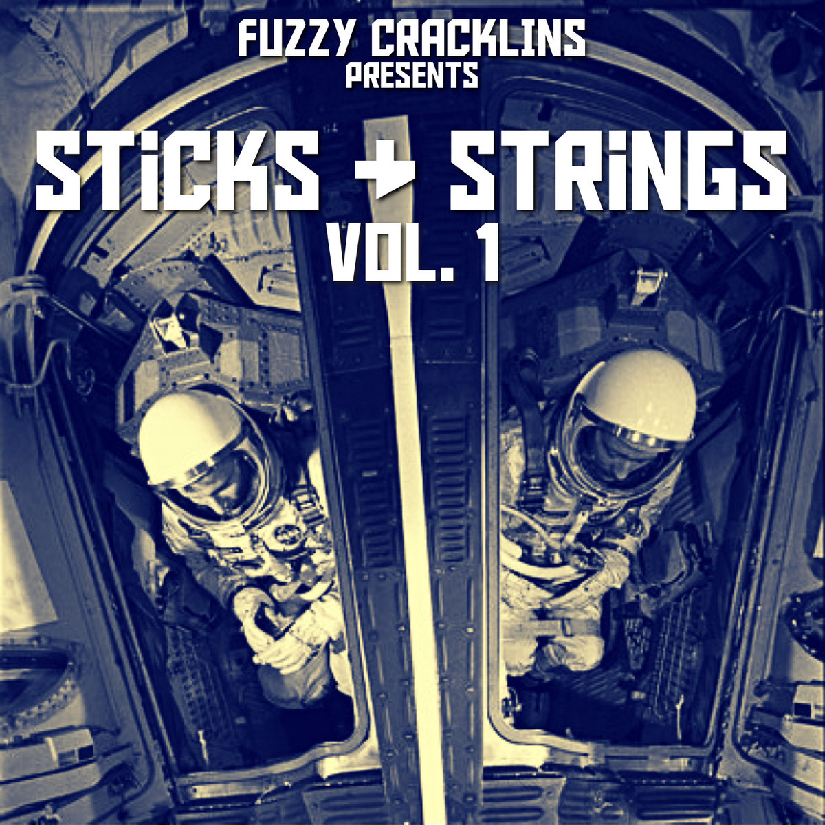 Sticks & Strings vol. 1 The Swamp Records