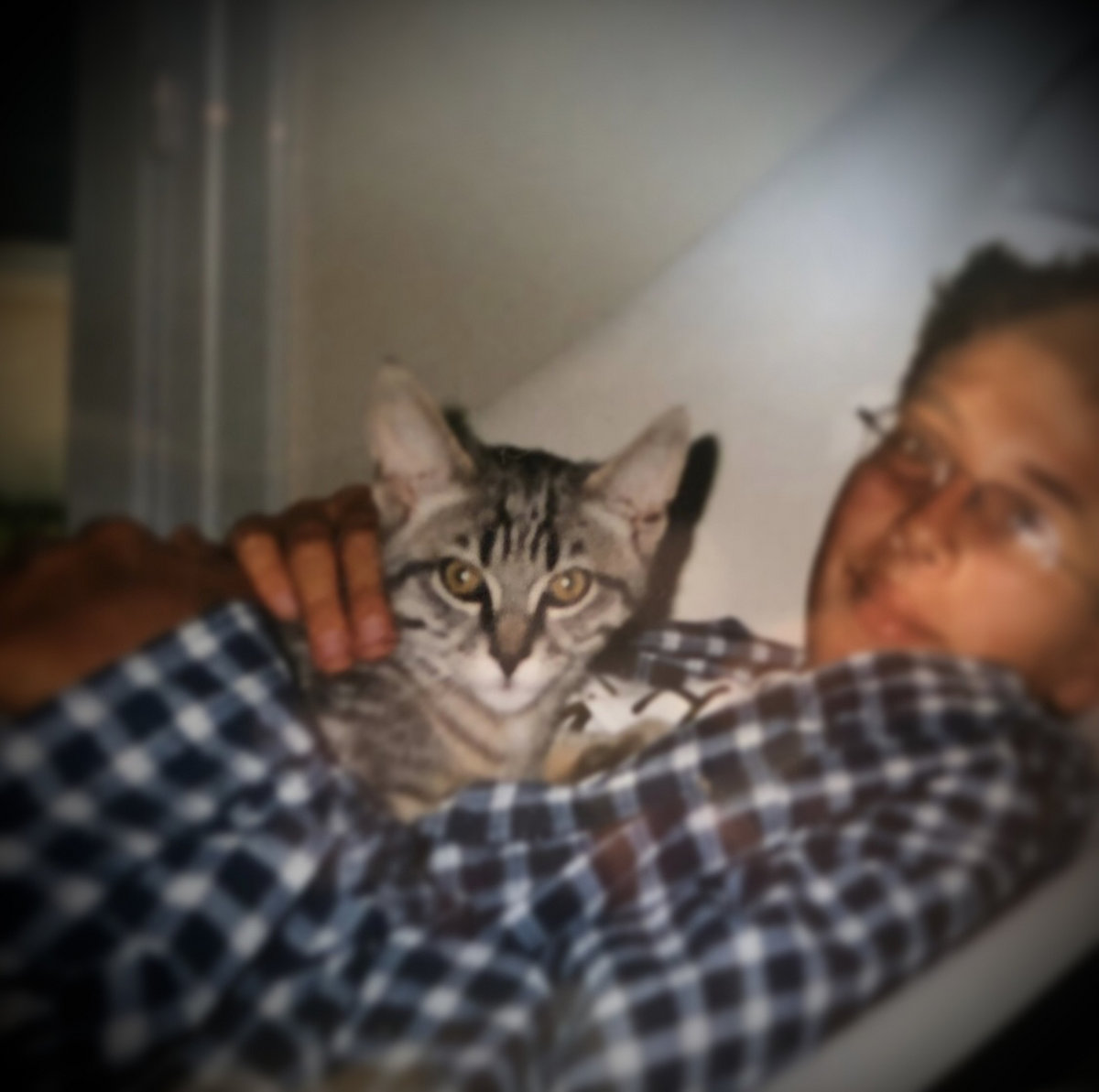 その他 girls apartment2 / TOHO JAZZ MESSENGERS girls apartment 2 - Various artists - Touhou Music Database