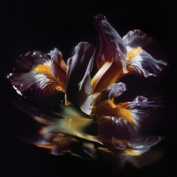 Album artwork for Forme Sommerse