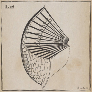 Album artwork for Flokati