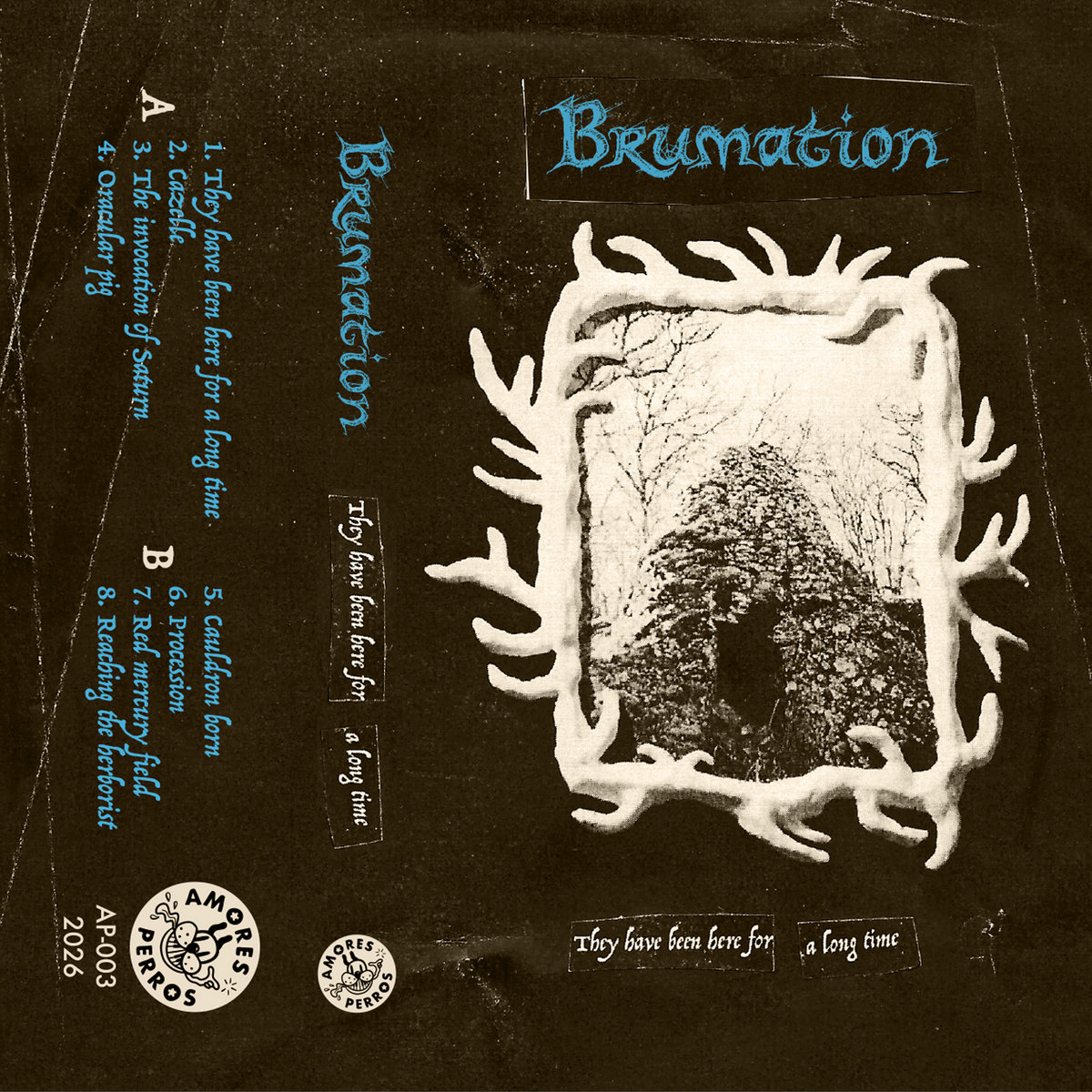 They have been here for a long time | Brumation