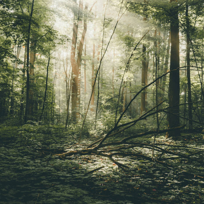 Beneath The Surface [SSV09] | ASC | Silent Season