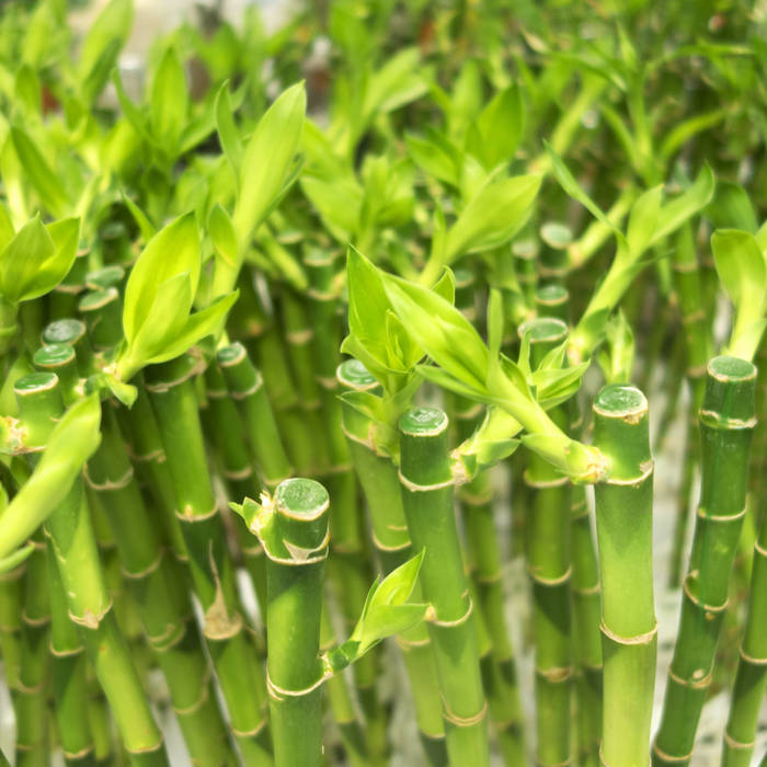 songs that remind me of you