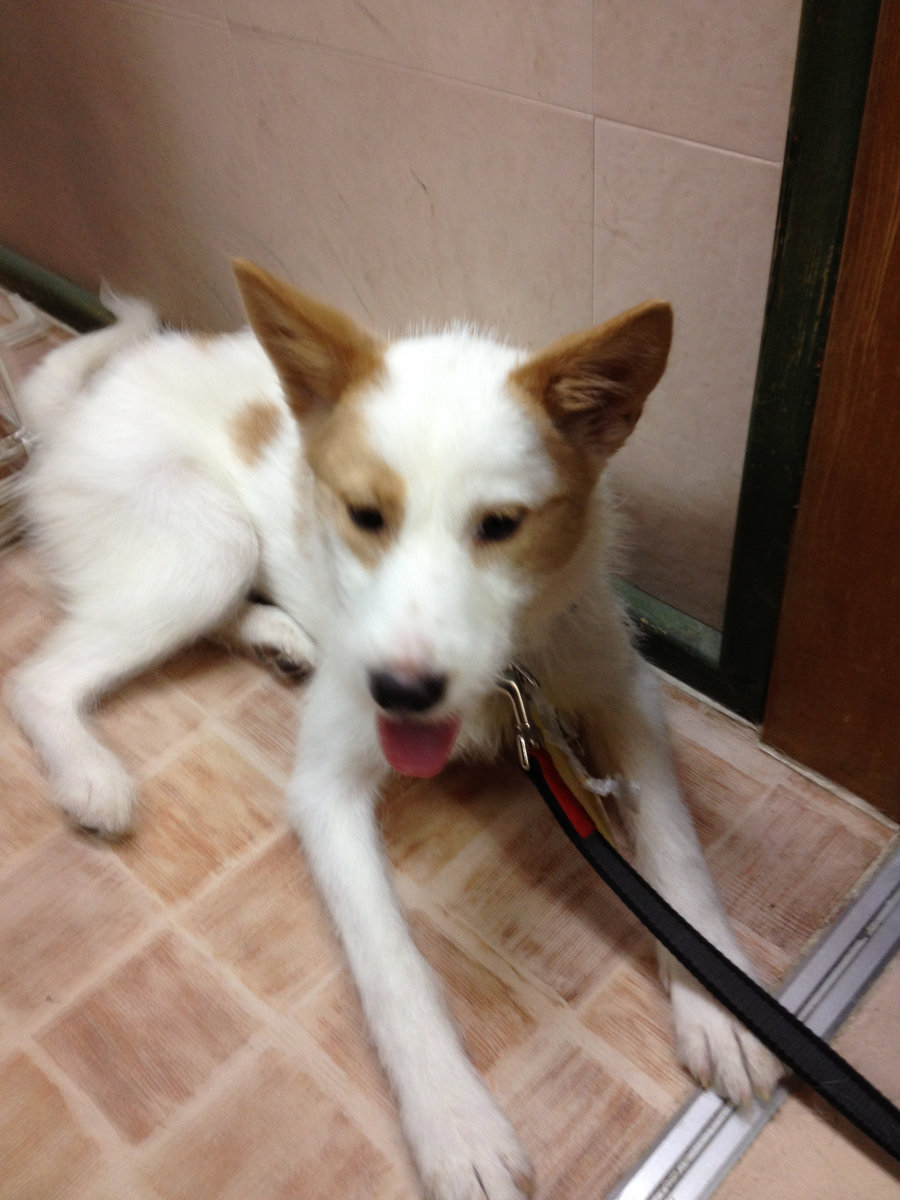 Download Download Connie Willis Pictures