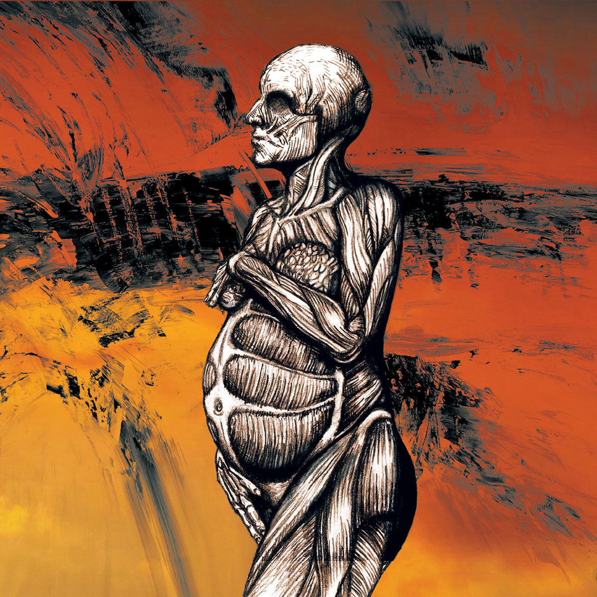 The Host cover