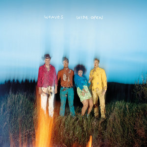 Wide Open (LP) cover