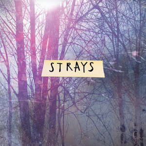 Sonaura — Strays (C)