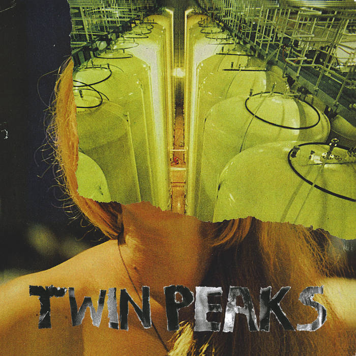 VISION　twin ツイン　デッドクークス　アルバム　HRS 湘南　超浮力 Natural Villain | Twin Peaks