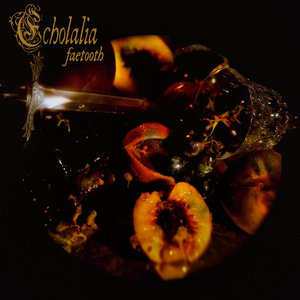 Faetooth — Echolalia